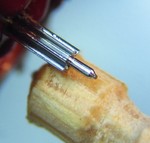 image type L 1/1
