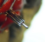 image type L 1/1