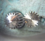 image type L 1/1