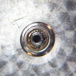 image type L 1/1