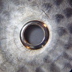 image type L 1/1