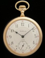 iAp-1081