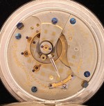 iAp-1175