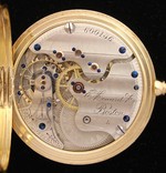 iAp-1184