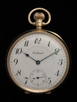 iAp-1231