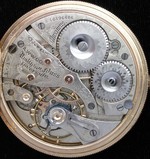 iAp-1231