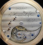 iAp-1281