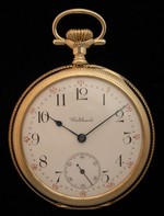 iAp-1310