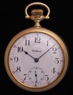 iAp-1501
