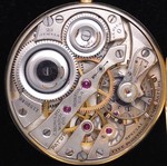 iAp-1502