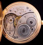 iAp-1519