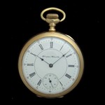 iAp-1607