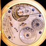 iAp-1619