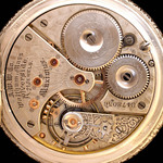 iAp-1621